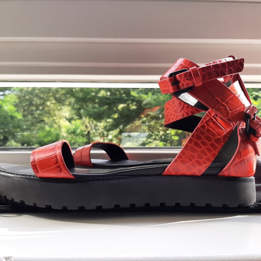 EUC Alexander Wang sandals